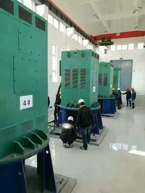 马龙某污水处理厂使用我厂的立式高压电机安装现场